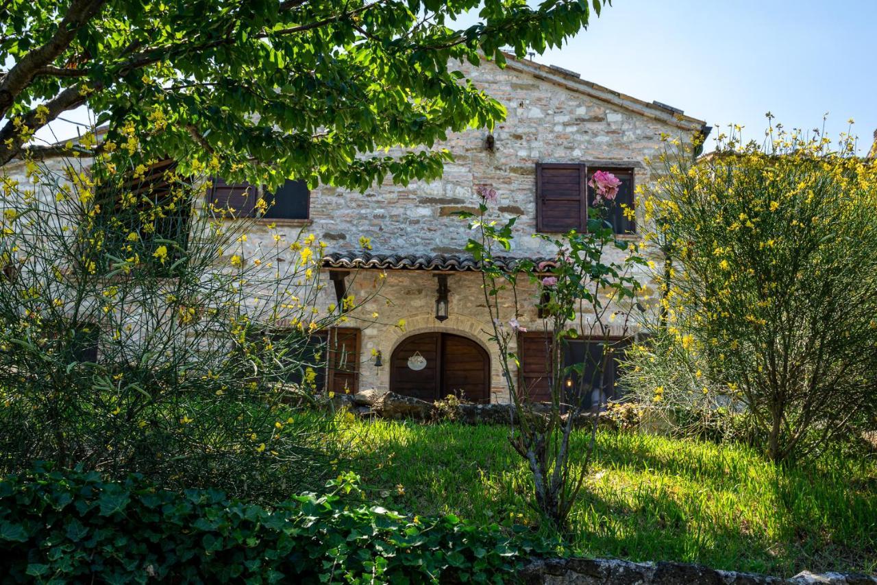 Villa Rustica Le Piagge Sassoferrato Ngoại thất bức ảnh